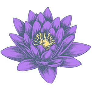 favicon Val the Wellness Gal