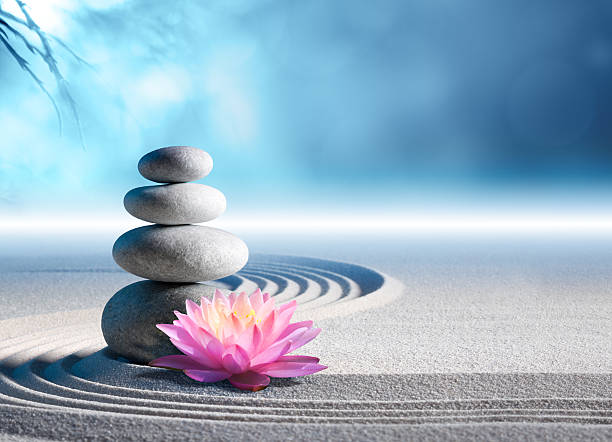 pink water lily in rock garden - meditation of soul